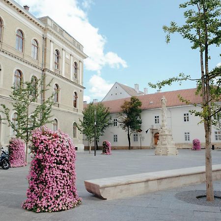 Contessa Central Apartment Cluj-Napoca Exterior foto