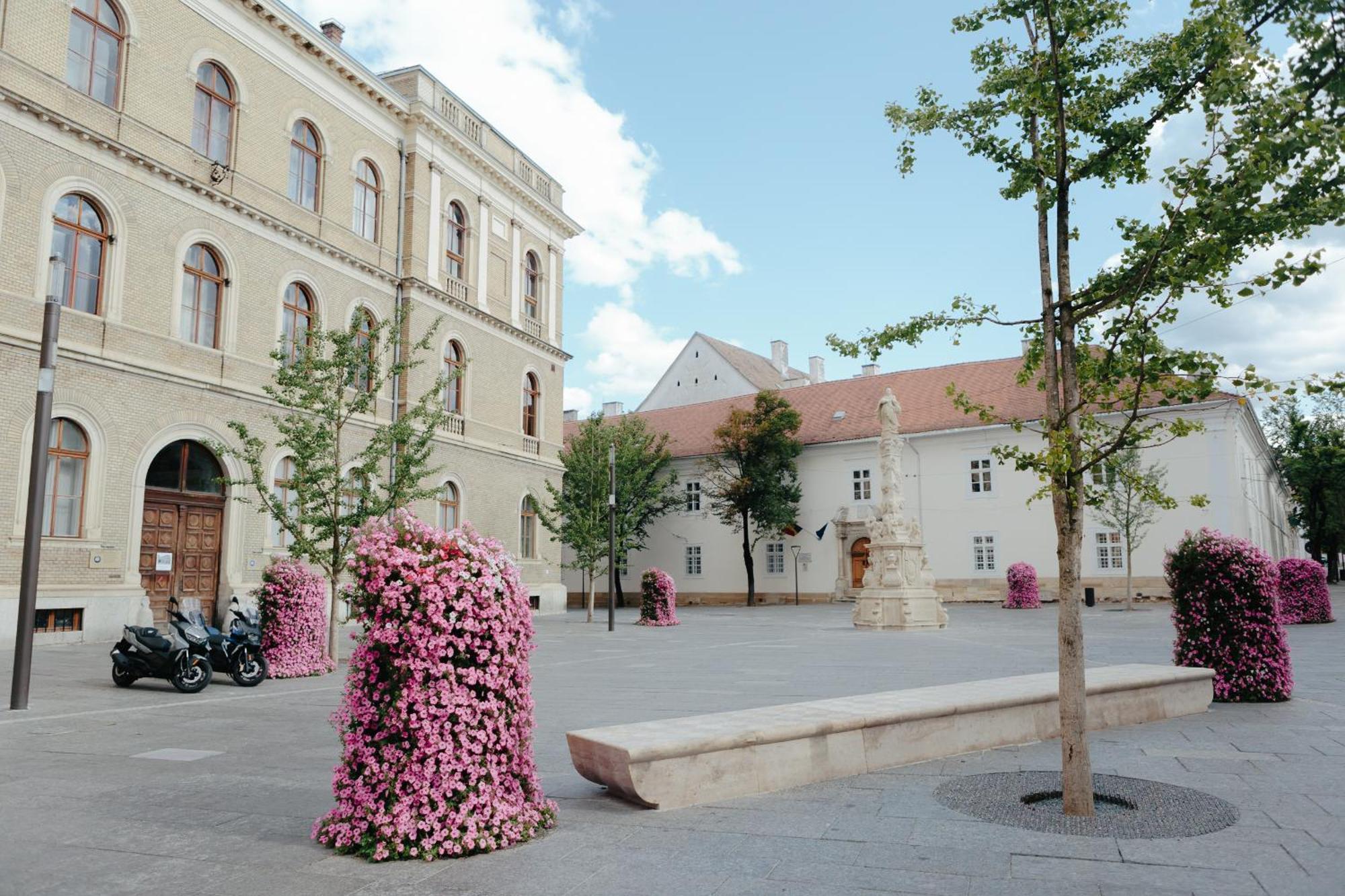 Contessa Central Apartment Cluj-Napoca Exterior foto
