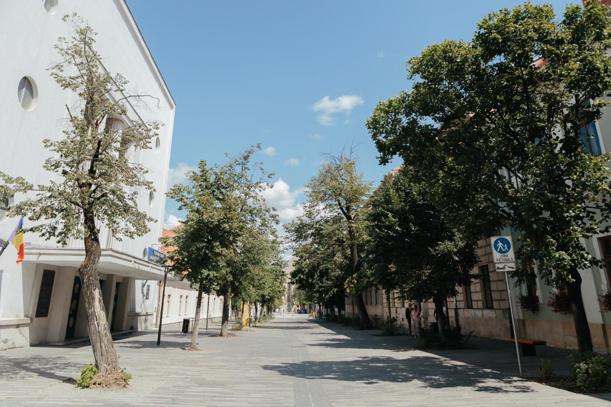 Contessa Central Apartment Cluj-Napoca Exterior foto